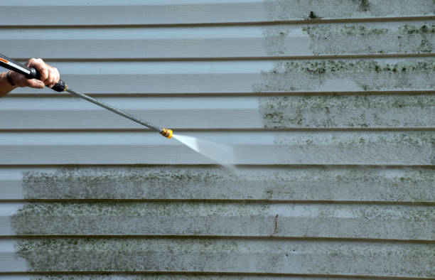 Best Driveway Pressure Washing  in Springville, IA